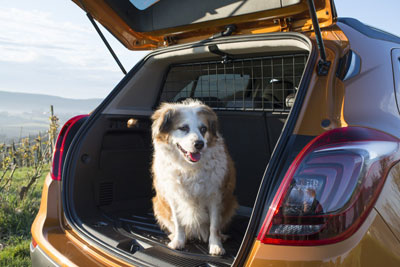 Bagażnik Opel MOKKA X, pies w bagażniku